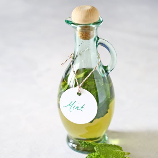Mint Extract - Recipe photo by Kleinworth &amp; Co