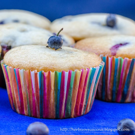 Eggless Blueberry Yogurt Muffins - Recipe photo by Herbivore Cucina