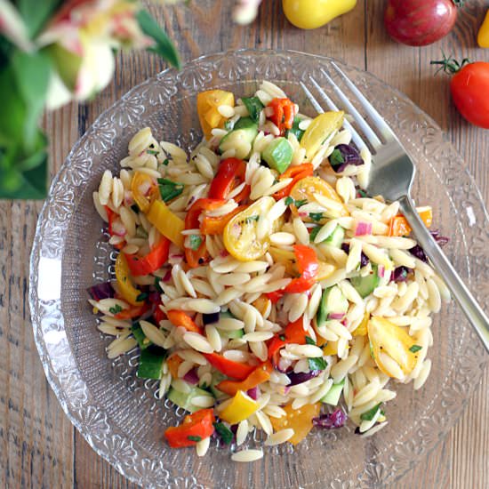 Rainbow Vegetable Orzo Pasta Salad - Recipe photo by twoofakindcooks