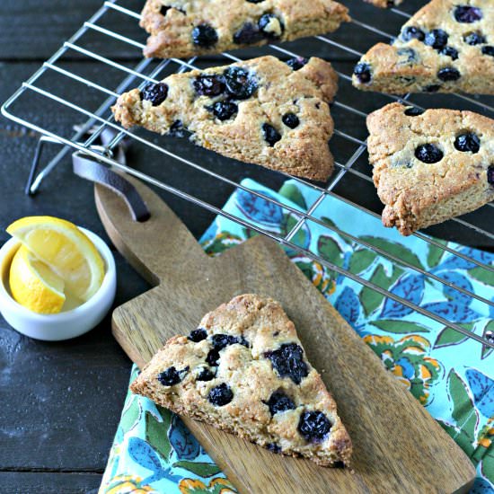 Grain Free Blueberry Lemon Scones - Recipe photo by EverydayMaven
