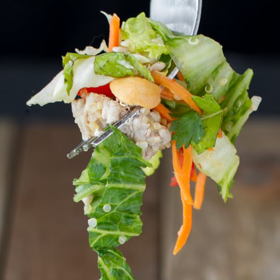 Thai Pork Quinoa Salad - Recipe photo by ImBoredLetsGo