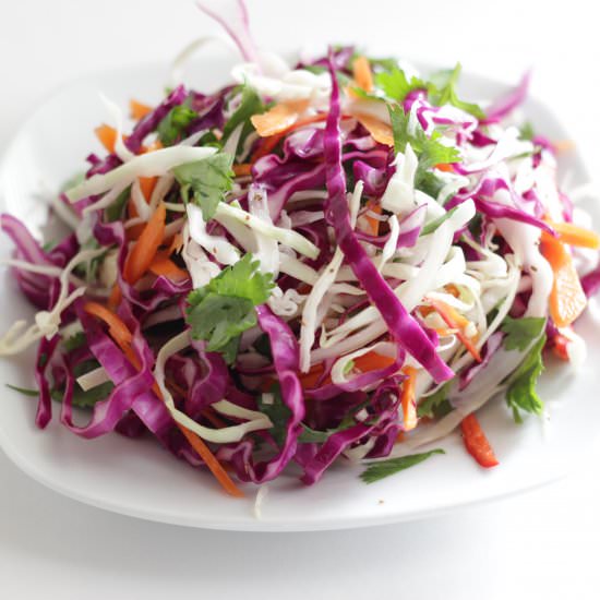 Vinegar Slaw - Recipe photo by tastesspicy
