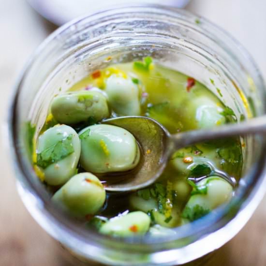 Marinated Fava Beans - Recipe photo by Feasting at Home