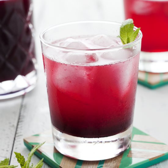 Blueberry Gin Fizz Cocktail - Recipe photo by onetoughcookie