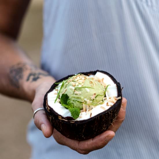 Coconut Milk and Avocado Ice Cream - Recipe photo by foolproofliving.com
