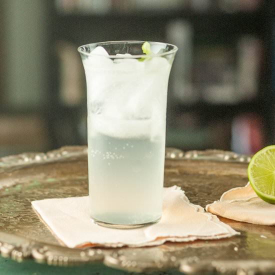 The All's Fair Cocktail - Recipe photo by blossomtostem