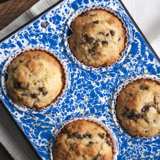 Buttermilk Chocolate Chip Muffins - Recipe photo by Summerfield Delight
