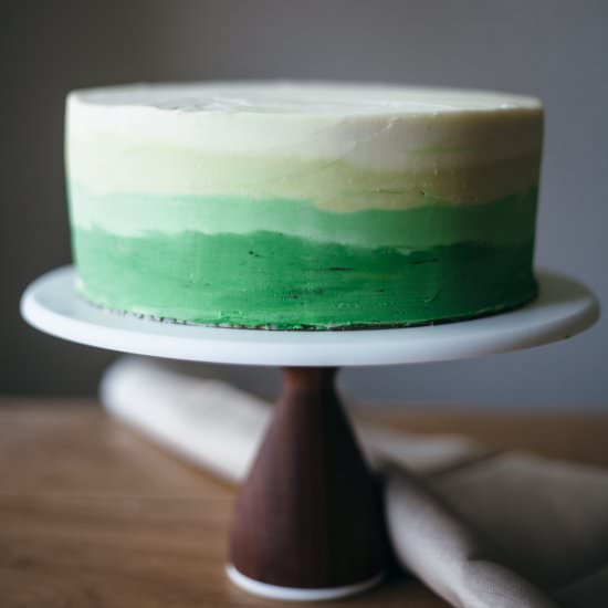 chocolate mint cake + mint frosting - Recipe photo by molly yeh