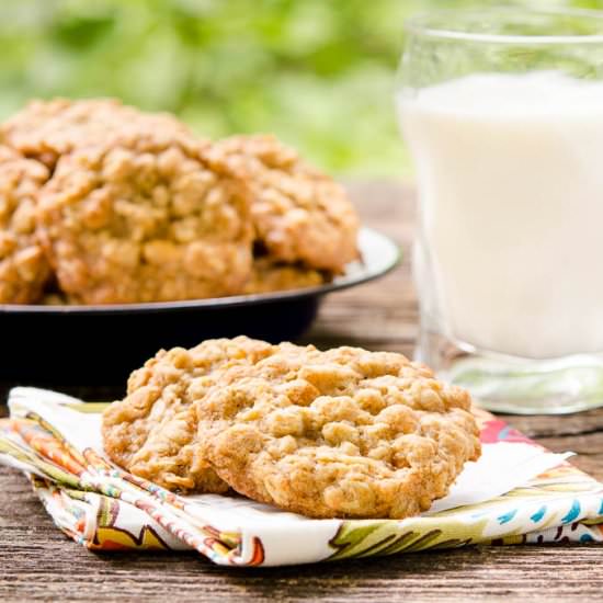 Honey Oatmeal Scotchies - Recipe photo by magnolia days