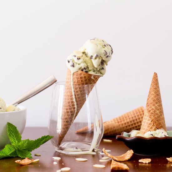 Peppermint Chip Ice Cream - Recipe photo by prettylittledishes