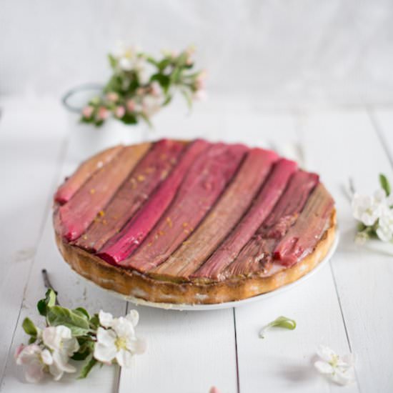 Rhubarb Panna Cotta Tart - Recipe photo by siankoo