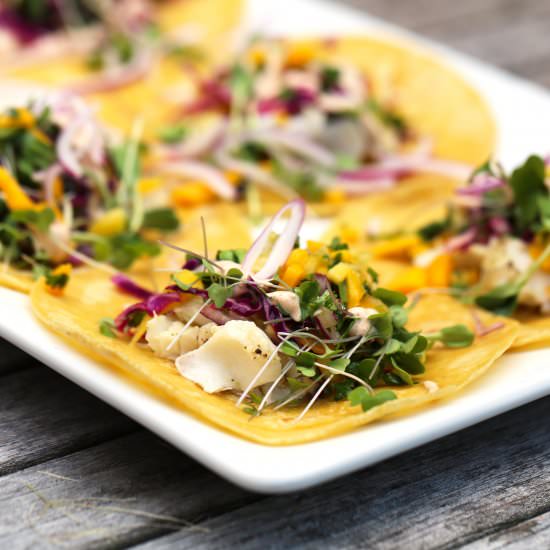 Fish Tacos - Recipe photo by Organically Thin