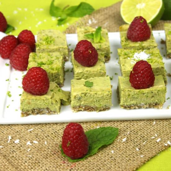 Raw Mojito Squares - Recipe photo by JesseLWellness