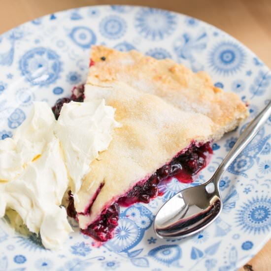 Blackcurrant Plate Pie - Recipe photo by JoJoNookAndCranny