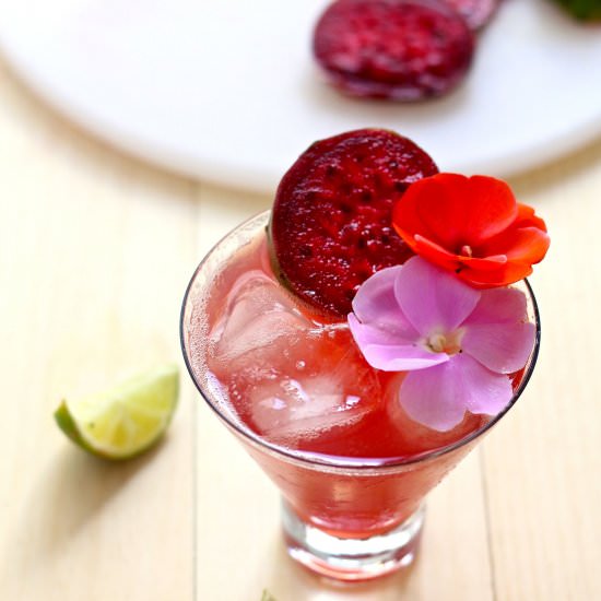 Prickly Pear & Ginger Beer Cocktail - Recipe photo by thegirlonbloor