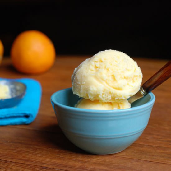 Homemade Orange Sherbet - Recipe photo by Circle B Kitchen