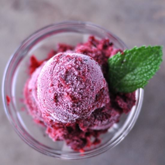Cabernet Sorbet - Recipe photo by DiningwithAlice