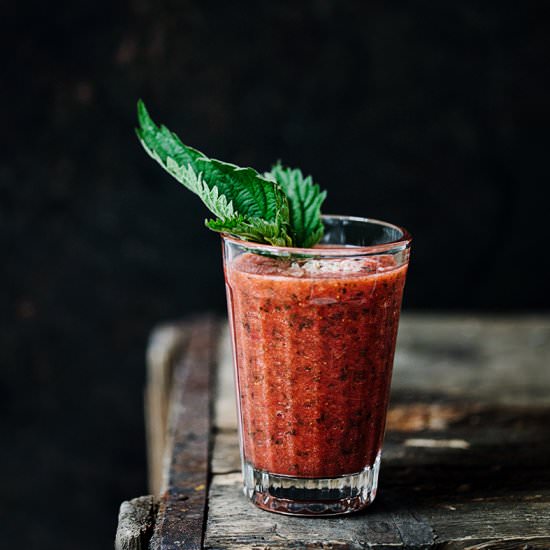 Nettle Shake - Recipe photo by what should i eat for breakfast today