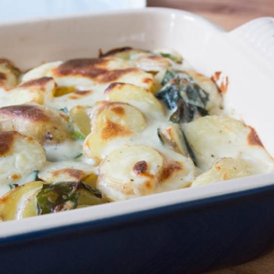Summer Green Potato Bake - Recipe photo by allthatimeating