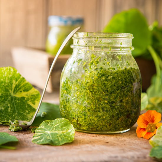 Nasturtium Pesto - Recipe photo by fabteam