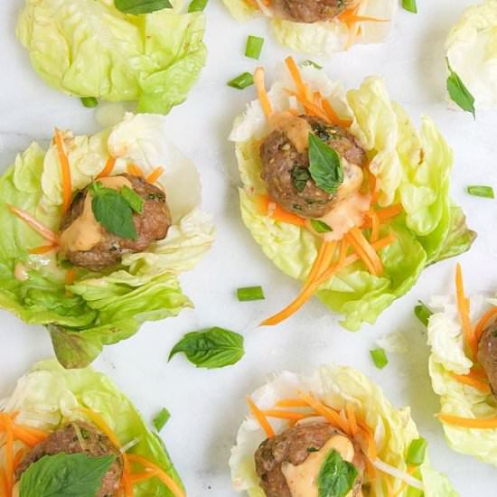 Asian Pork Meatballs - Recipe photo by PinchandSwirl