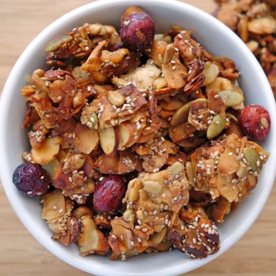 Coconutty Cranberry-Apple Granola - Recipe photo by Gourmet Girl Cooks