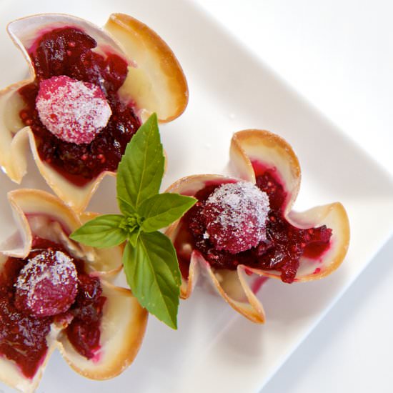 Cranberry Brie Bites - Recipe photo by SurfandSunshine