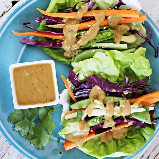 Garden Wraps with Peanut Dressing - Recipe photo by DorasDailyDish