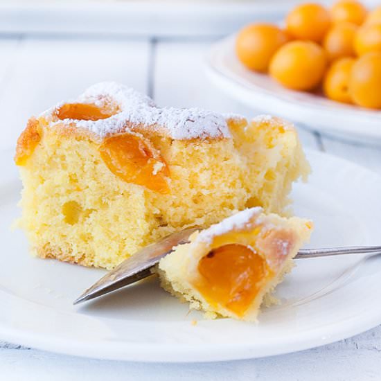 Simple cake with plums - Recipe photo by wwwilovebakepl