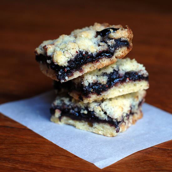 Blackberry Jam Crumble Bars - Recipe photo by Circle B Kitchen