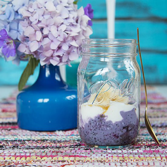Chia Seed Pudding with Blueberries - Recipe photo by lisaerik