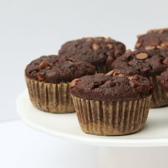 Double Chocolate Zucchini Muffins - Recipe photo by busybakerblog