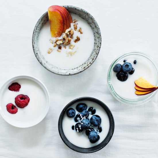 Coconut Yogurt - Recipe photo by ModernWifestyle