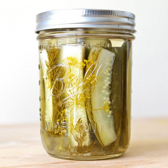 Small Batch Crunchy Dill Pickles - Recipe photo by SimpleSeasonal