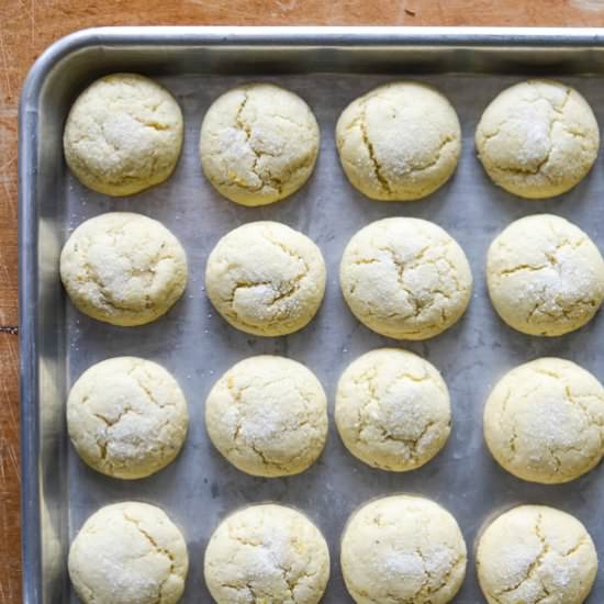 Lemon Rosemary Olive Oil Cookies - Recipe photo by simplywhisked