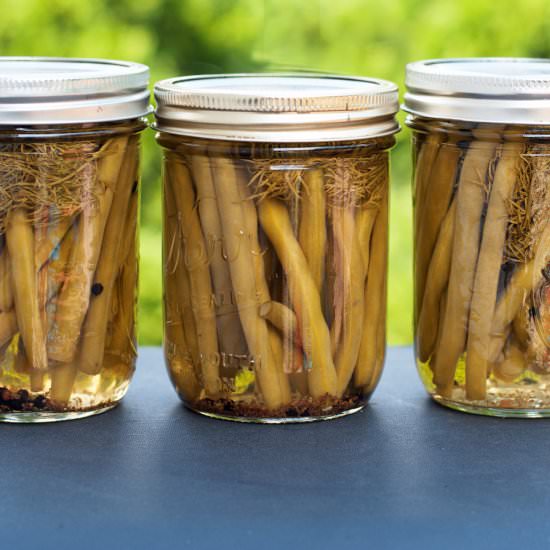 Dilly Beans - Recipe photo by alialamode