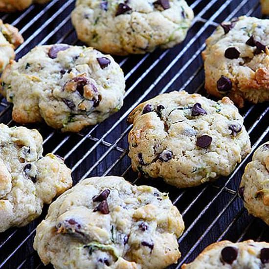 Chocolate Chip Zucchini Brownies - Recipe photo by iambaker