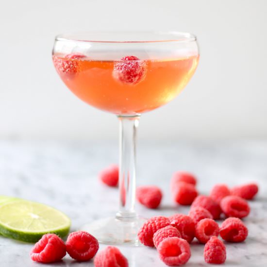 raspberry ginger beer champagne - Recipe photo by perpetuallyhungry