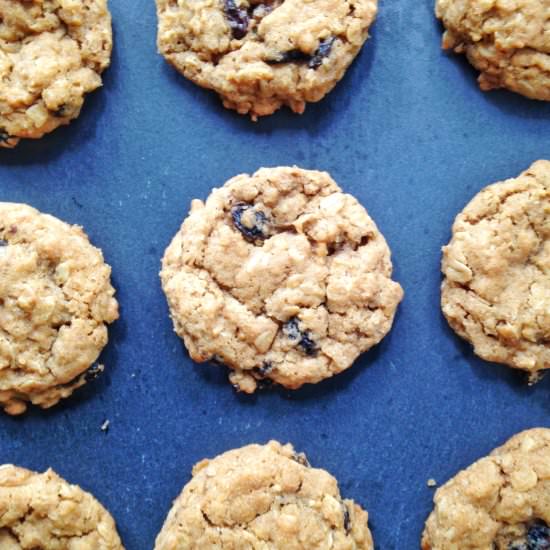 best oatmeal raisin cookies - Recipe photo by WillBakeforBooks