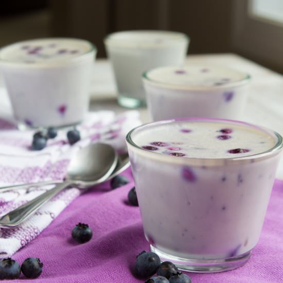 White Chocolate Panna Cotta - Recipe photo by HealthfulPursuit