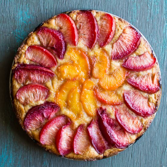 Gluten-Free Pluot Torte - Recipe photo by healthynibblesandbits