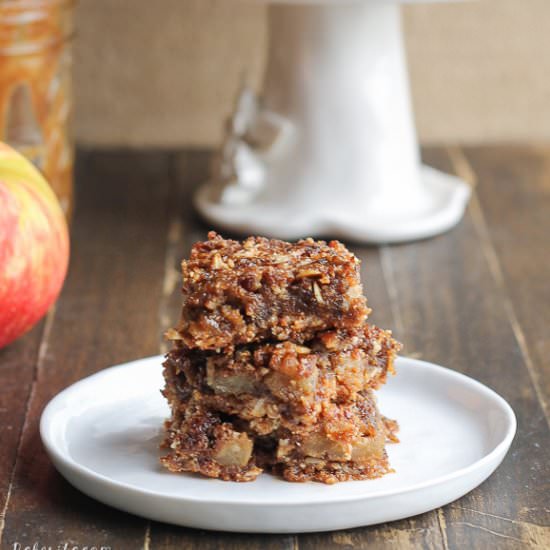 Caramel Apple Crumb Bars - Recipe photo by bakerita