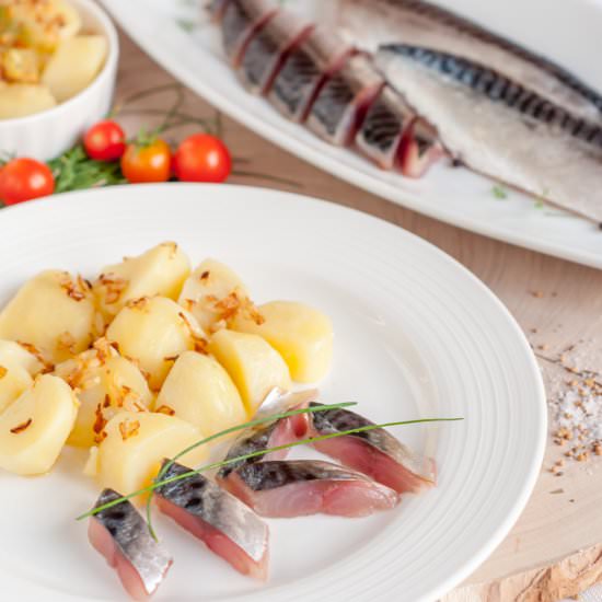 Cured Mackerel - Recipe photo by Gastro Senses
