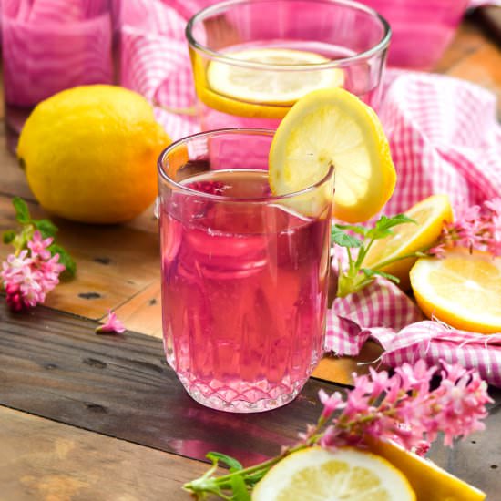 How to Make Naturally Pink Lemonade - Recipe photo by Gringalicious