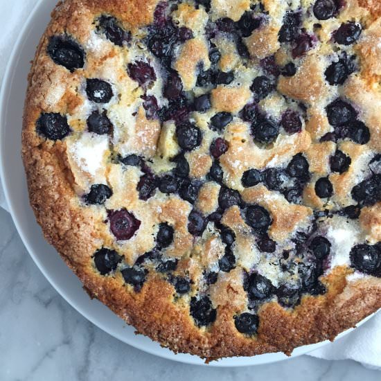 Blueberry Cornmeal Cake - Recipe photo by thebrookcook.wordpress.com