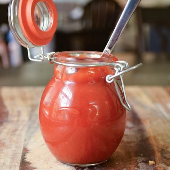 How to Make Homemade Ketchup - Recipe photo by Talia Bunting