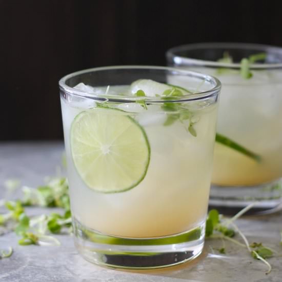 key lime cooler cocktails - Recipe photo by perpetuallyhungry