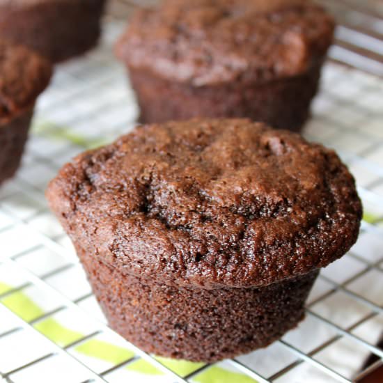Chocolate Chocolate Chip Muffins - Recipe photo by auntiebethany
