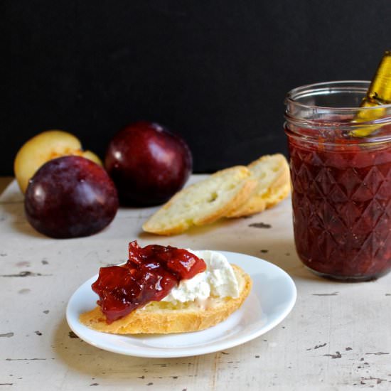 Ginger Plum Chutney - Recipe photo by the good eats co