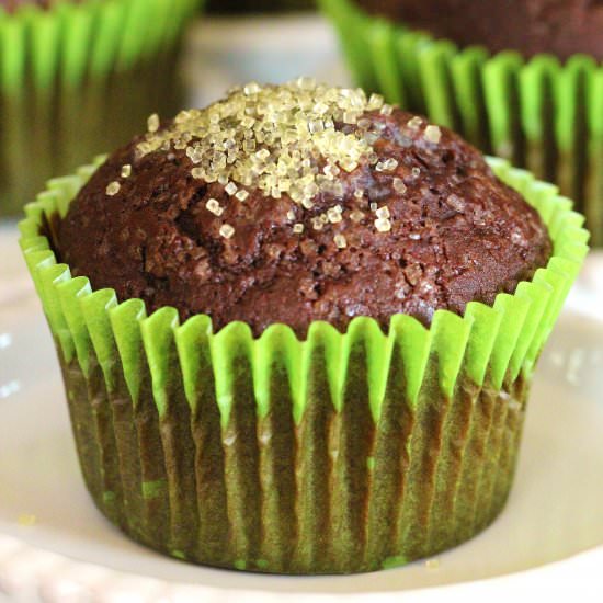 Chocolate Breakfast Muffins - Recipe photo by mystylerecipe